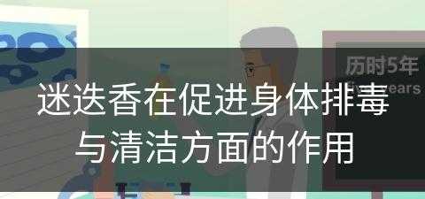 迷迭香在促进身体排毒与清洁方面的作用